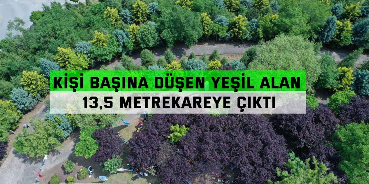 Kişi başına düşen yeşil alan 13,5 metrekareye çıktı