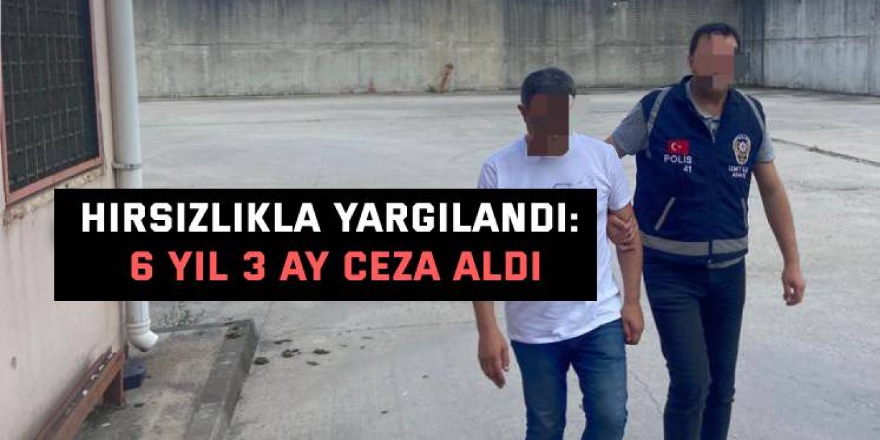 Hırsızlıkla yargılandı:  6 yıl 3 ay ceza aldı