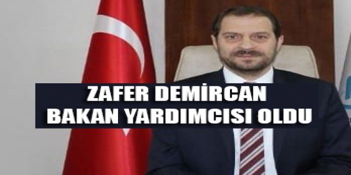 Zafer Demircan bakan yardımcısı oldu