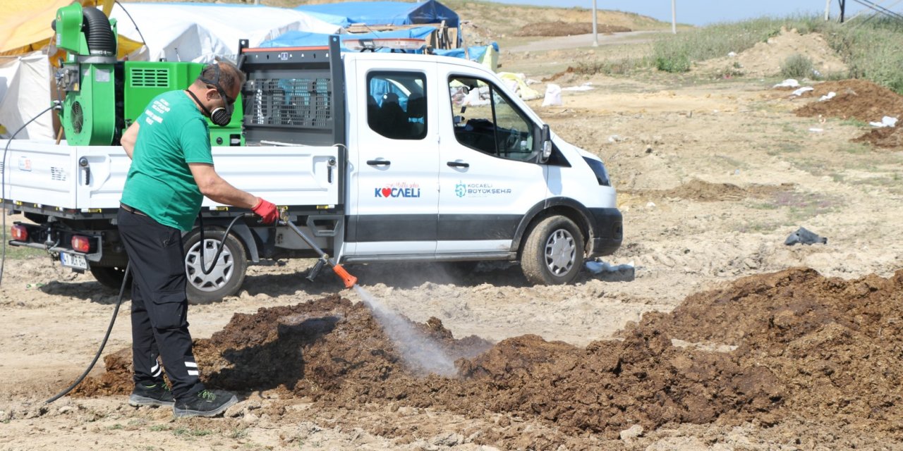 Kurban pazar yerleri ilaçlanıyor