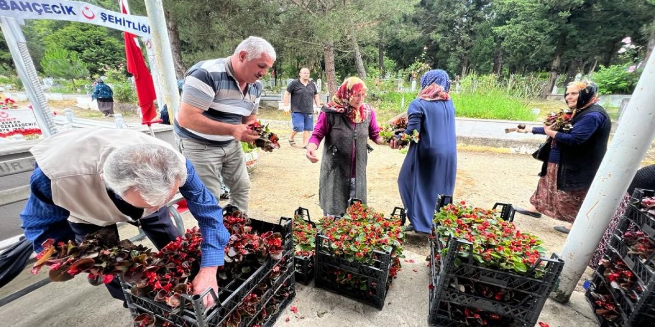 25 bin çiçek dağıtıldı