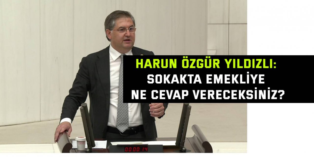 Harun Özgür Yıldızlı: Sokakta emekliye ne cevap vereceksiniz?