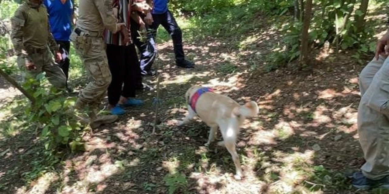 Kaybolan vatandaş ormanlık alanda bulundu