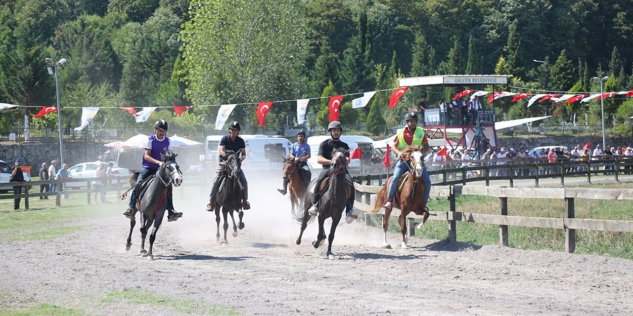 Rahvan at yarışları