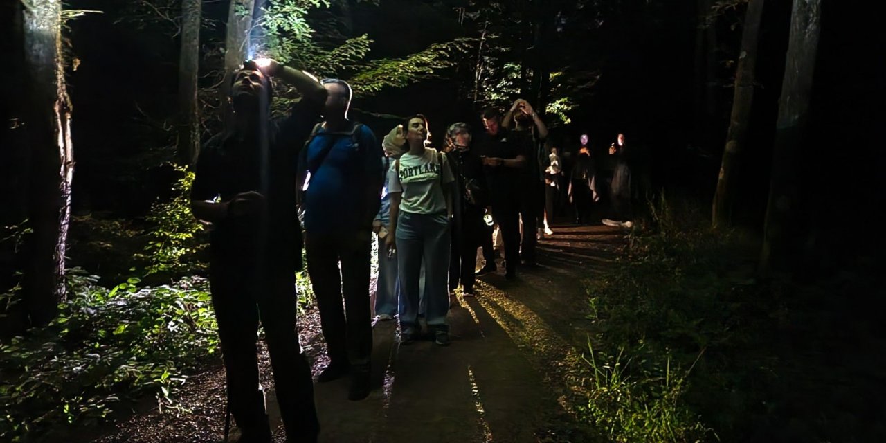 Ormanya’da gece yürüyüşü