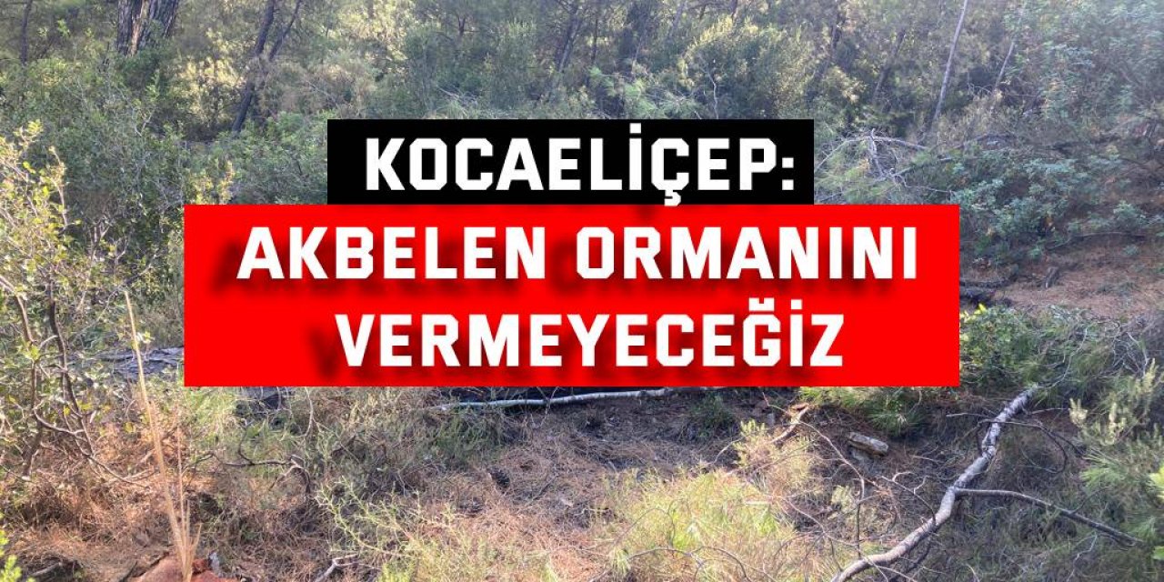 KOCAELİÇEP:   Akbelen ormanını vermeyeceğiz