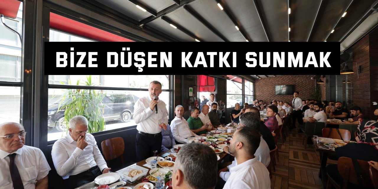 Bize düşen katkı sunmak