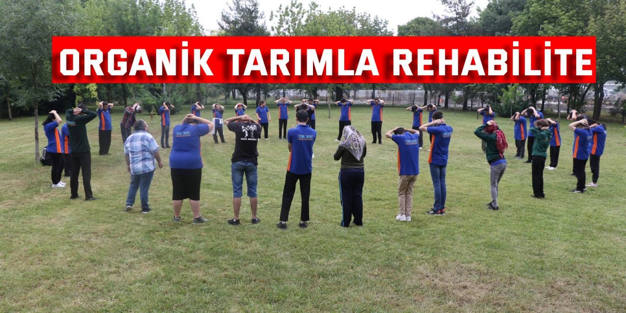 Organik tarımla rehabilite