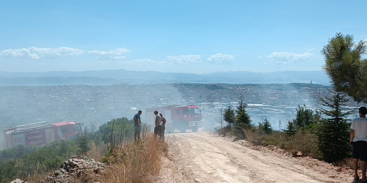 Ağaçlık alanda çıkan yangında kundaklama iddiası