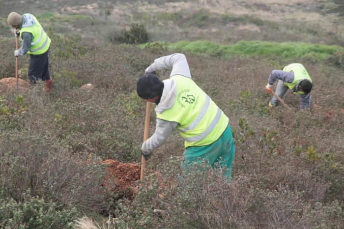 Şehitler için fidan dikilecek