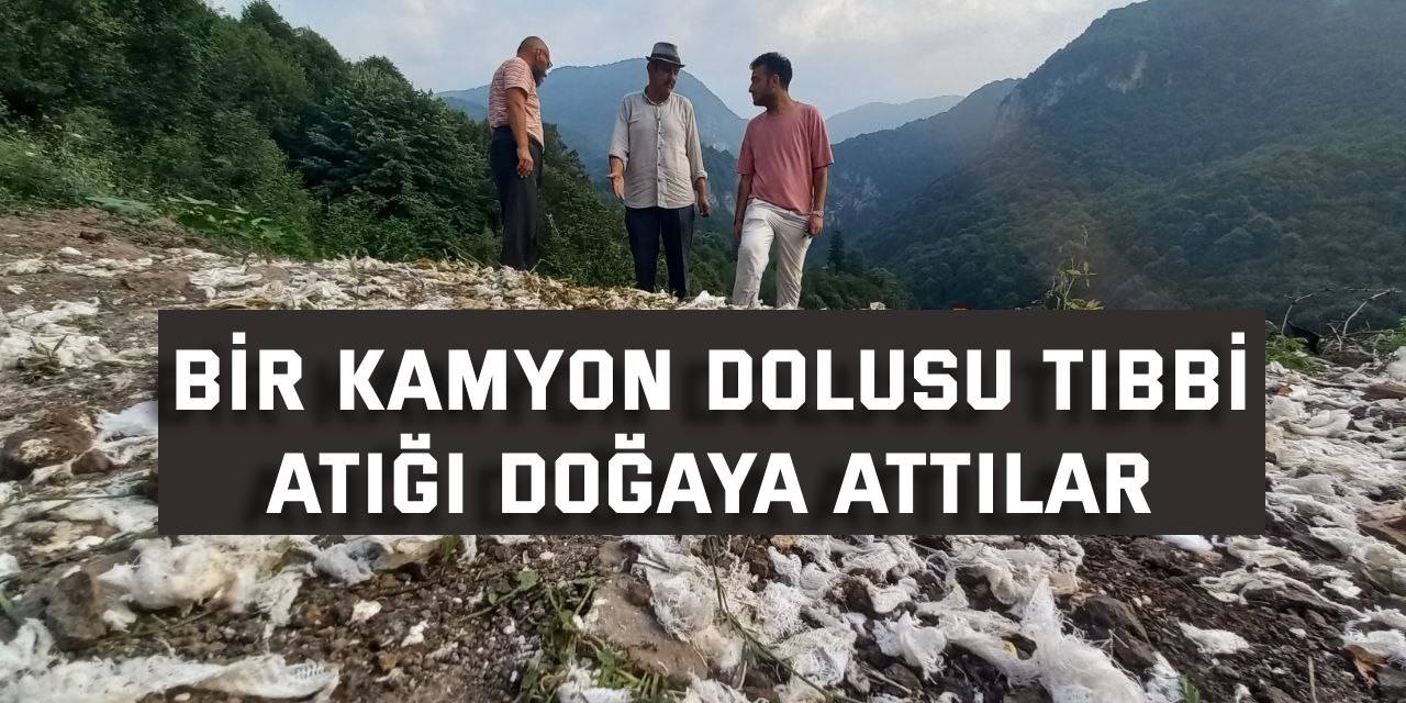 Bir kamyon dolusu tıbbi atığı doğaya attılar