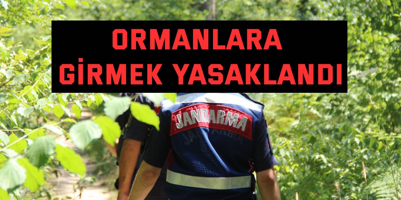 Kocaeli'de ormanlara girmek yasaklandı