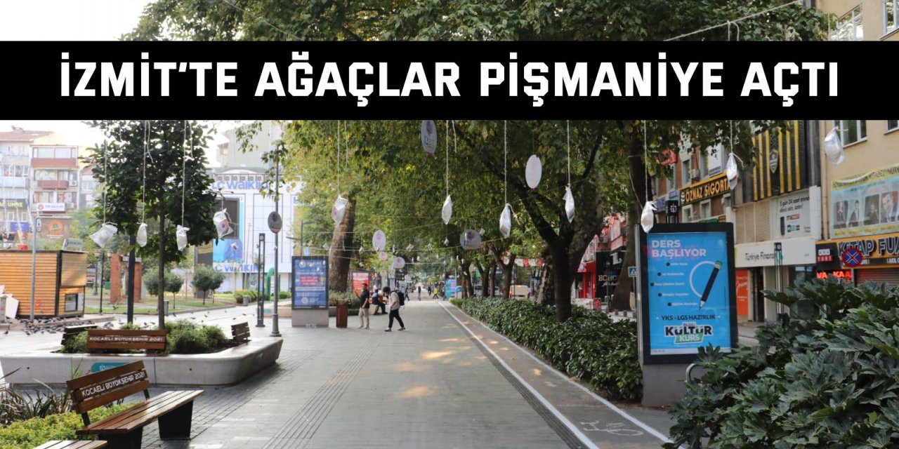 İzmit’te ağaçlar pişmaniye açtı