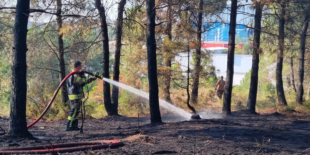 Çayırova’da ormanlık alanda yangın