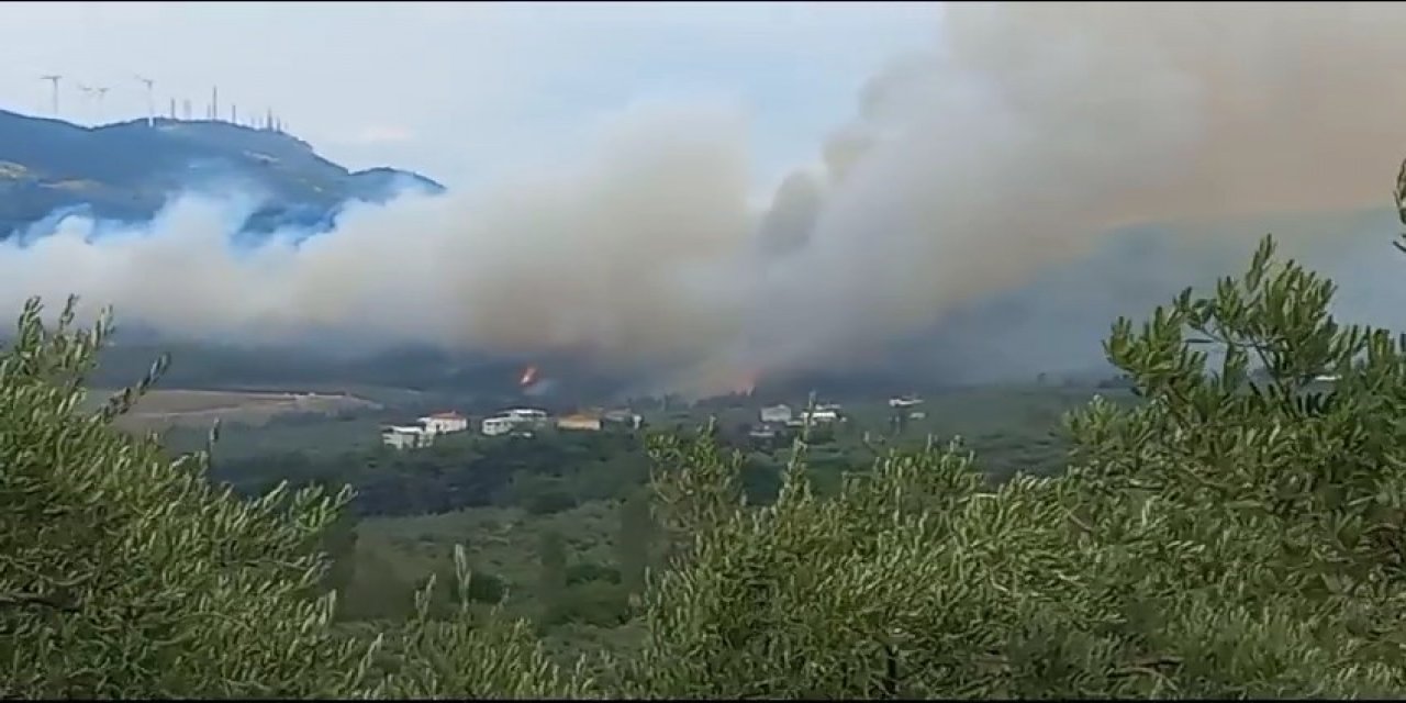 Bursa’da orman yangını