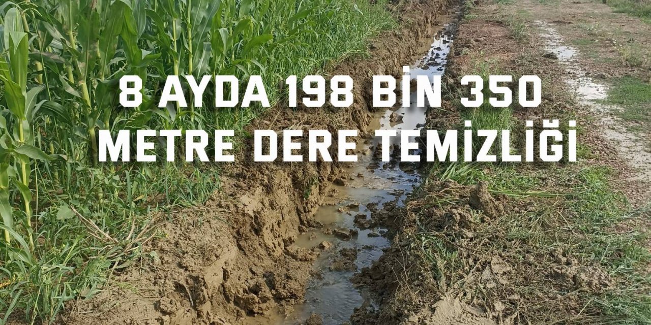 8 ayda 198 bin 350 metre dere temizliği