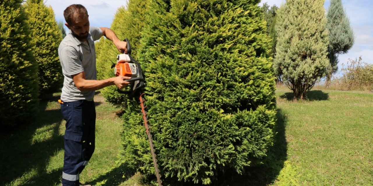 Kocaeli'de sonbahar hazırlığı