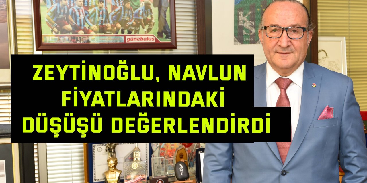 Zeytinoğlu, navlun fiyatlarındaki düşüşü değerlendirdi