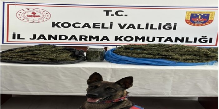 Baskın yapılan evden 2 kilo 300 gram esrar çıktı