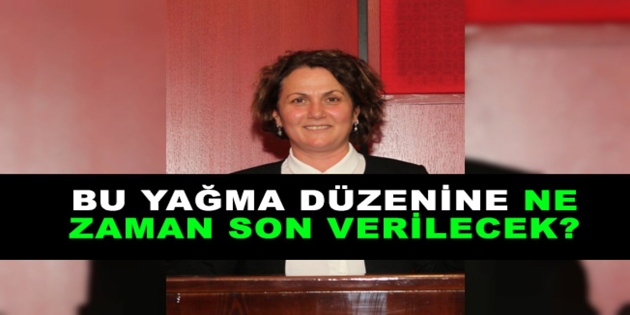 Bu yağma düzenine ne  zaman son verilecek?