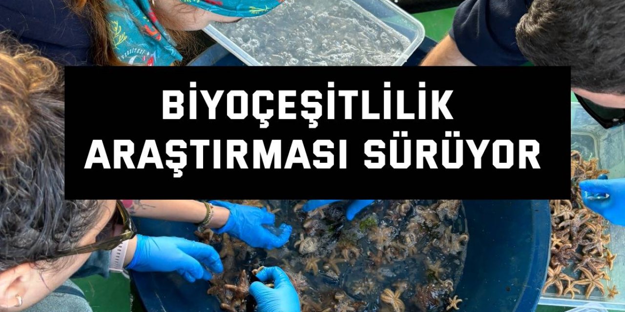 Biyoçeşitlilik araştırması sürüyor