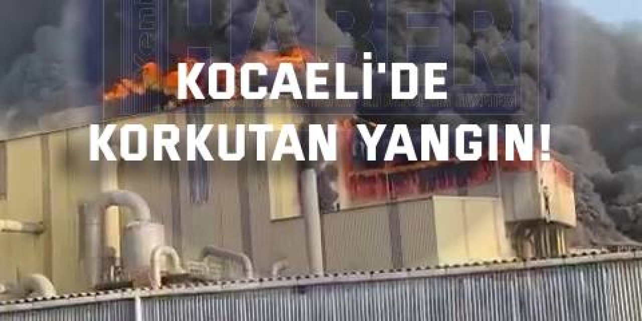 Kocaeli'de korkutan yangın!