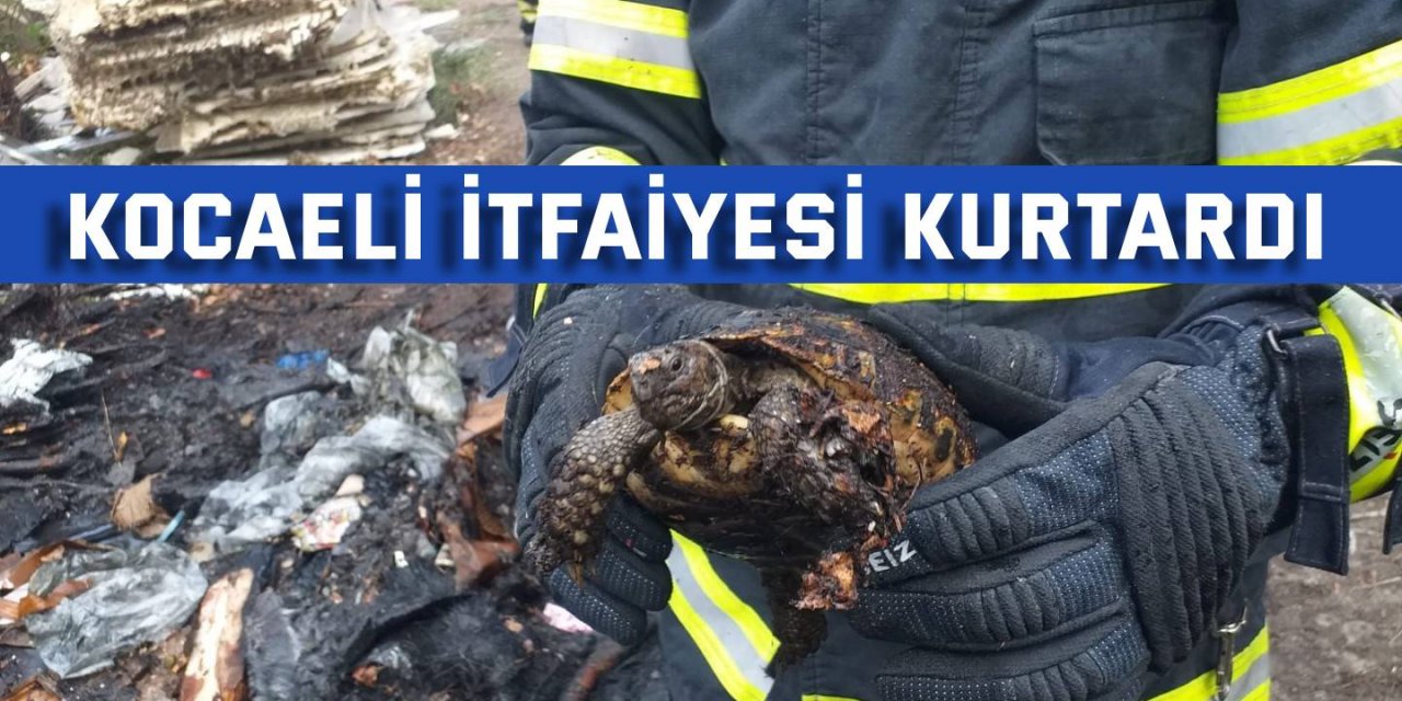 Kocaeli itfaiyesi kurtardı