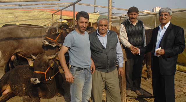 CHP’li Kaplan Gebze Belediyesi’ne yüklendi: Bu kadar mı acizsiniz?”