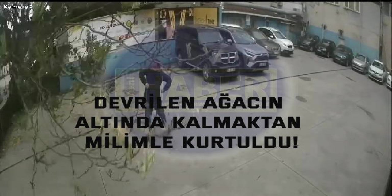 Devrilen ağacın altında kalmaktan milimle kurtuldu!