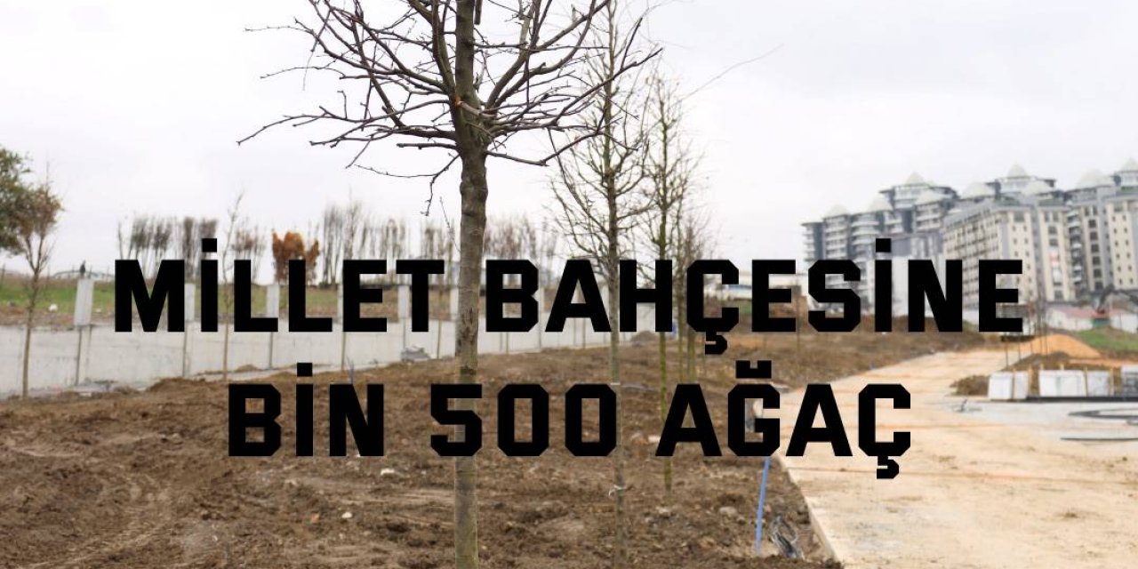 Millet Bahçesine  bin 500 ağaç