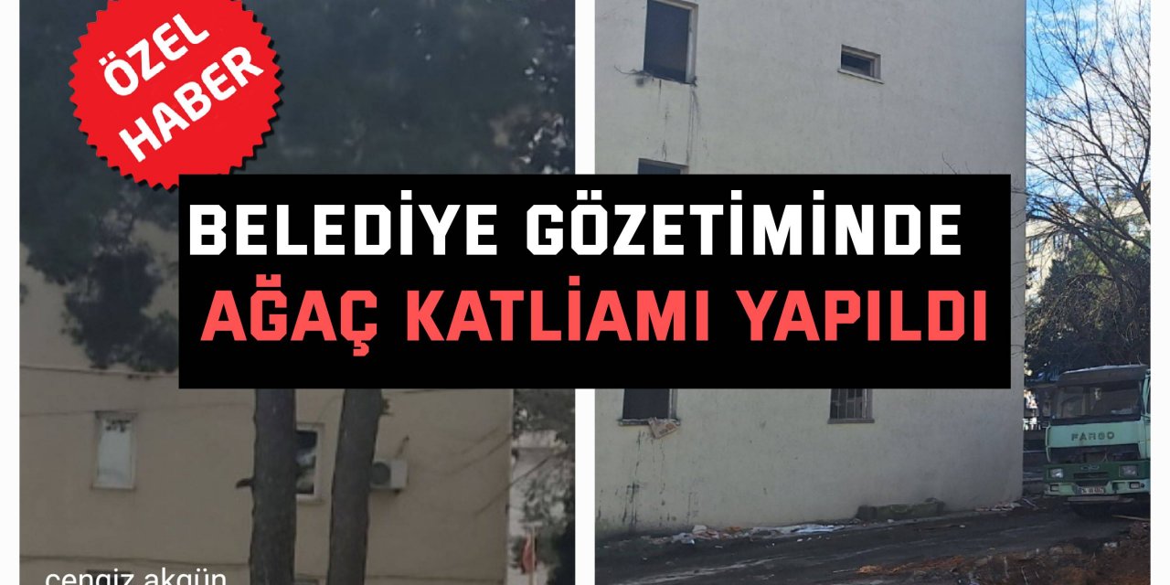 ​​​​​​​Belediye gözetiminde  ağaç katliamı yapıldı