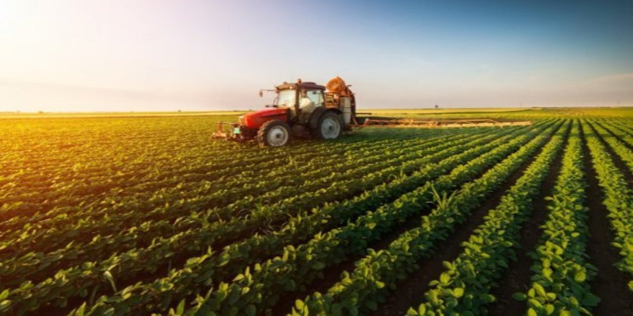 Tarım-GFE yıllık yüzde 40,11 arttı