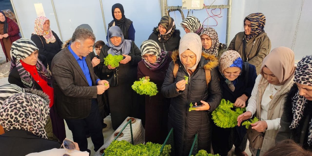 Topraksız tarım projesine yoğun ilgi