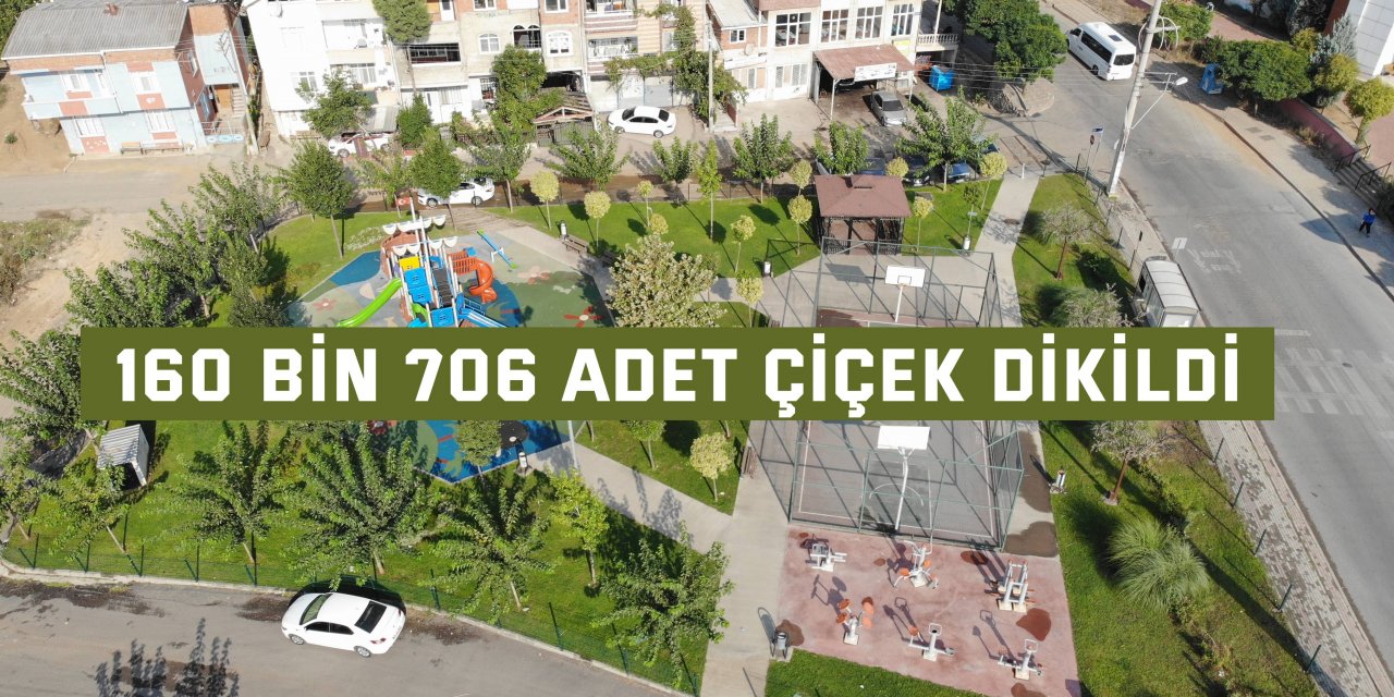 160 bin 706 adet çiçek dikildi