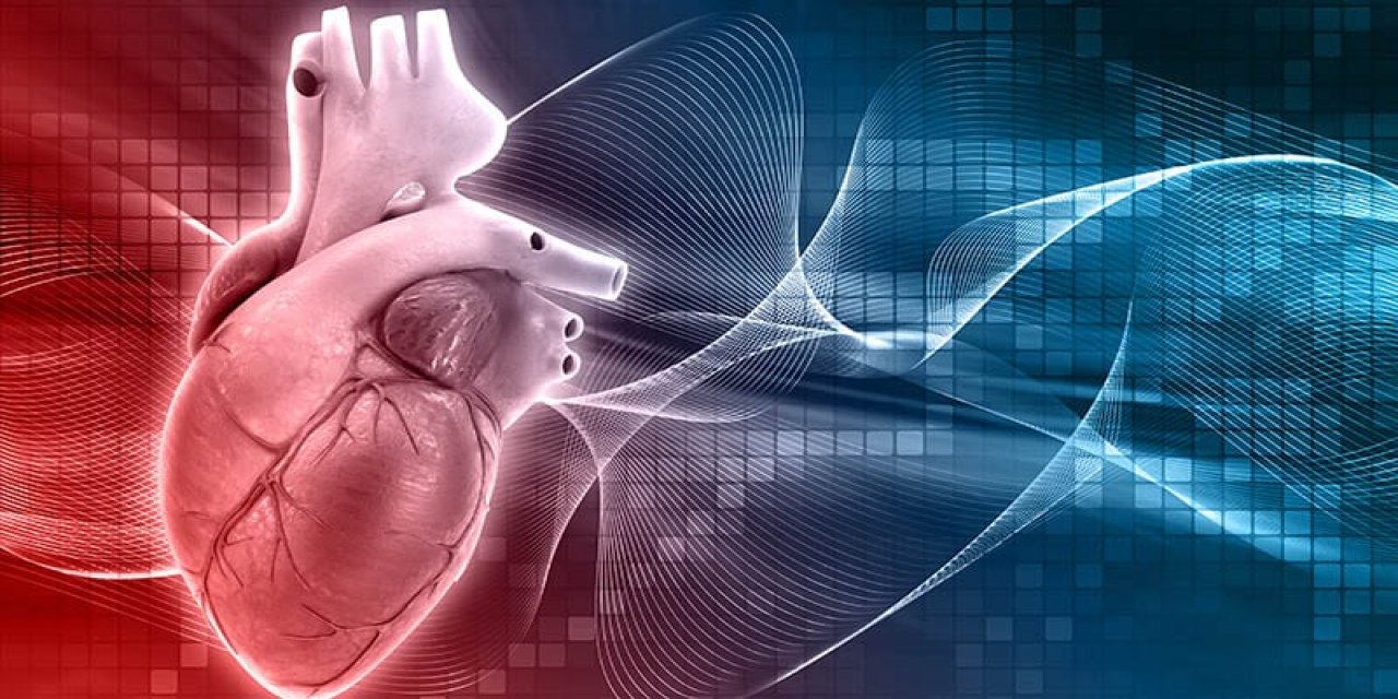 Kalp kapak hastalığı nedir? Belirtileri nelerdir?