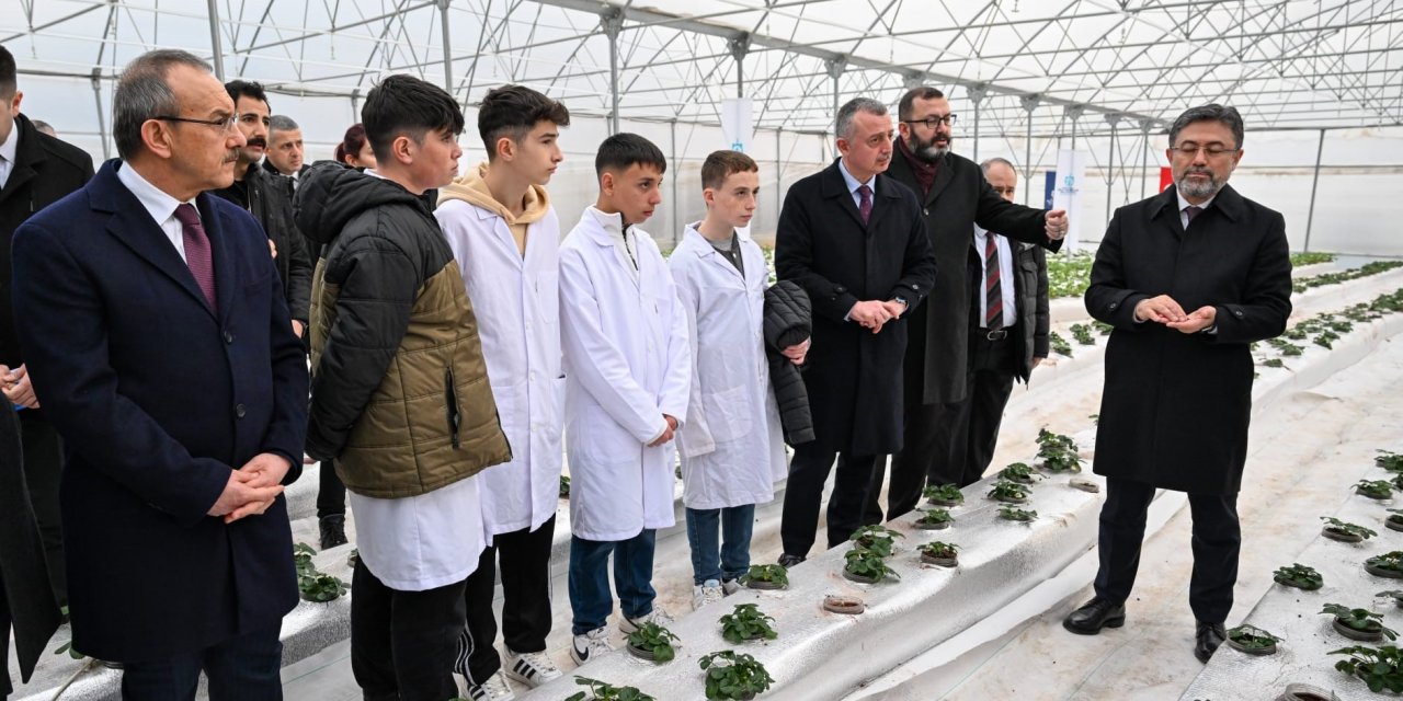 Bu serada 12 ay boyunca hasat mümkün