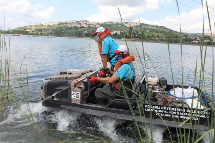 Vektör mücadelesine yeni araç