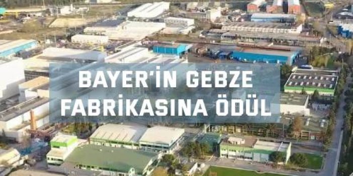 Bayer’in Gebze fabrikasına ödül