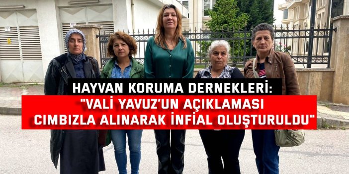 Hayvan koruma dernekleri: "Vali Yavuz’un açıklaması cımbızla alınarak infial oluşturuldu"