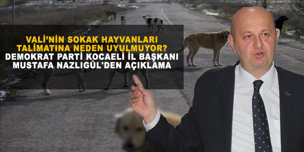 Vali’nin Sokak Hayvanları Talimatına Neden Uyulmuyor? Demokrat Parti Kocaeli İl Başkanı Mustafa Nazlıgül'den Açıklama