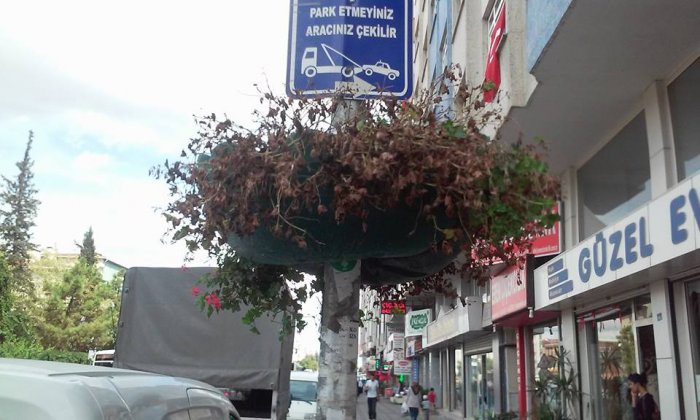 Seçim çiçekleri soldu!