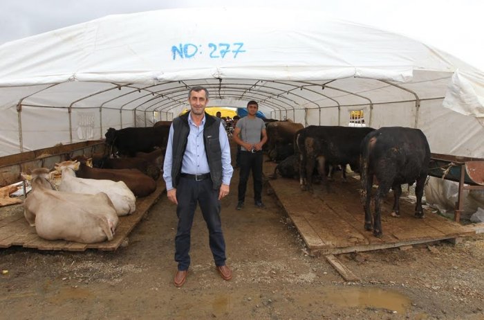 Kurban satış alanı hazır