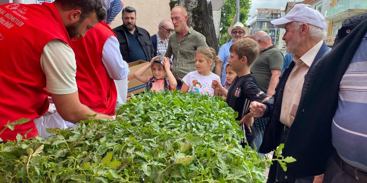 İzmit Belediyesi 43 bin fideyi vatandaşlara dağıttı