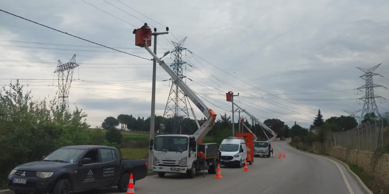 Leyleklerin göç yollarında  güvenlik tedbiri alınıyor