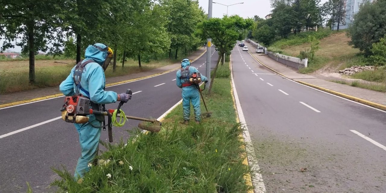 Başiskele yaza hazırlanıyor