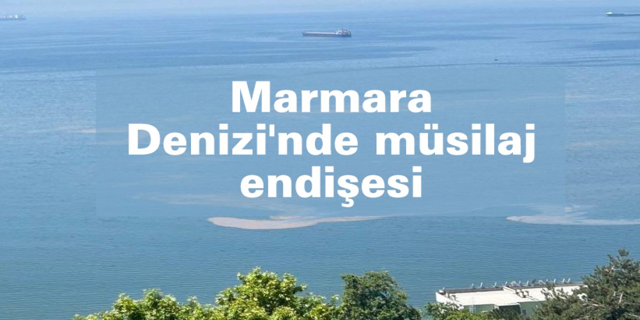 Marmara Denizi'nde müsilaj endişesi