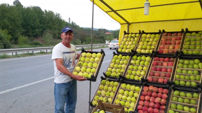 EŞME AYVASI D-100’DE