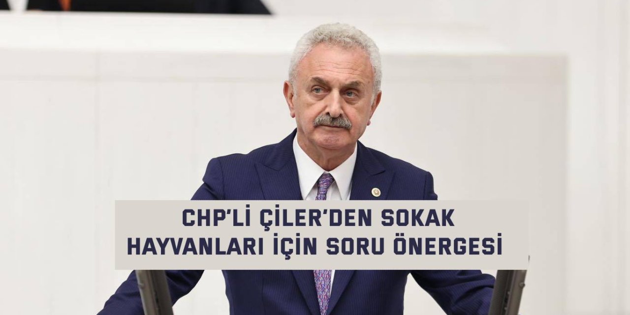 CHP’Lİ ÇİLER’DEN Sokak hayvanları için soru önergesi