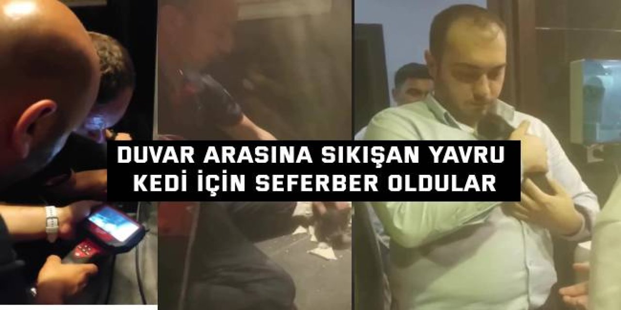 Duvar arasına sıkışan yavru kediyi itfaiye kurtardı