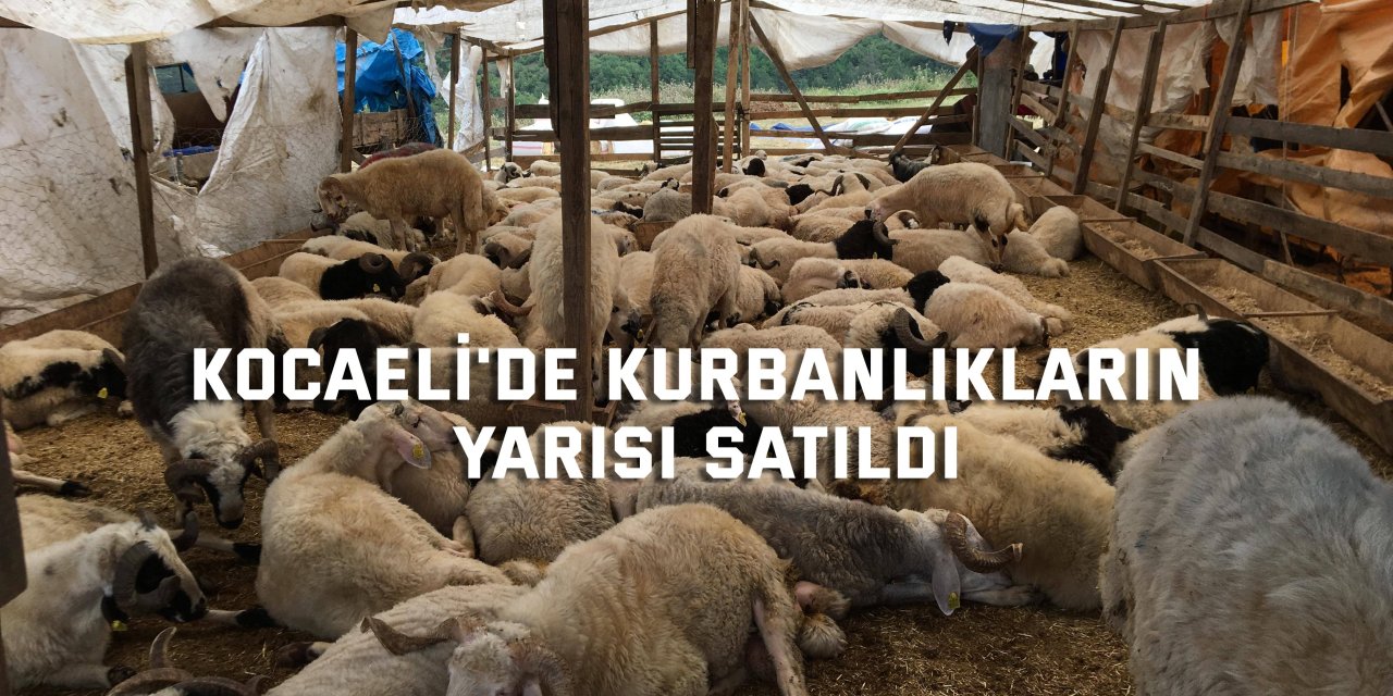 Kocaeli'de kurbanlıkların yarısı satıldı